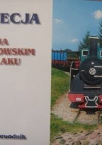 Wenecja na szlaku piastowskim. Mini przewodnik - Andrzej Rosiak