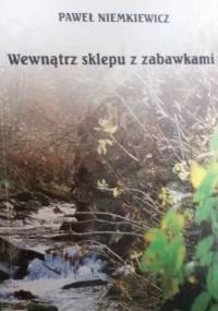 Wewnątrz sklepu z zabawkami - Paweł Niemkiewicz