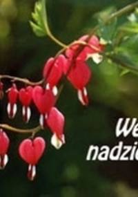 Weź nadzieję. Perełka 4 - praca zbiorowa