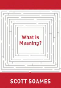 What is meaning? - Scott Soames