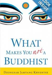 What makes you not a  buddhist - Dzongsar Kjence Rinpocze