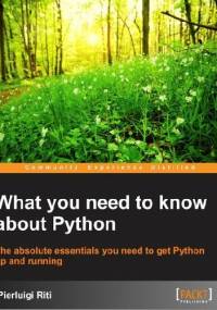 What you need to know about Python - Pierluigi Riti