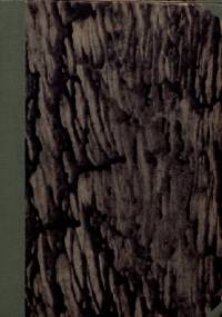 Wiatraki Don Chichota: pamiętnik-scenarjusz - Cezary Jellenta