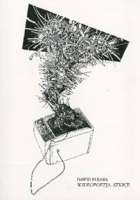 Wideopoezja. Szkice - Dawid Kujawa