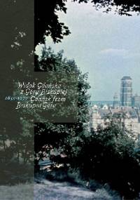 Widok Gdańska z Góry Biskupiej 1855–1970