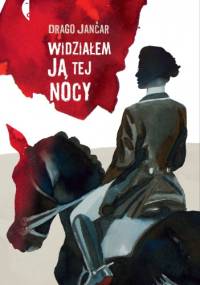 Widziałem ją tej nocy - Drago Jančar