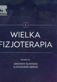 Wielka fizjoterapia Tom 1 - Aleksander Sieroń, Zbigniew Śliwiński