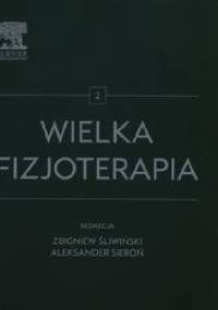 Wielka fizjoterapia Tom 2 - Aleksander Sieroń, Zbigniew Śliwiński