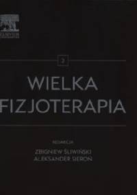 Wielka fizjoterapia Tom 3 - Aleksander Sieroń, Zbigniew Śliwiński