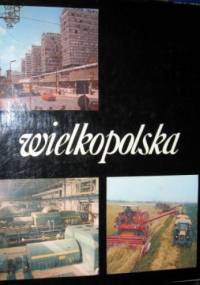 Wielkopolska - Adam Cichy