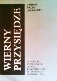 Wierny przysiędze - Gabriel Brzęk