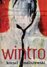 Wintro - Kornel Maliszewski
