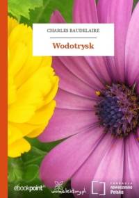 Wodotrysk - Charles Baudelaire