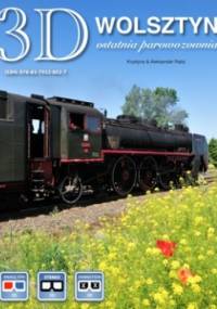 Wolsztyn 3D Ostatnia Parowozownia - Krystyna & Aleksander Rabij