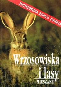 Wrzosowiska i lasy mieszane - Catherine Nicolle