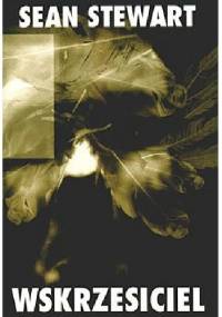 Wskrzesiciel - Sean Stewart