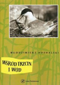 Wśród trzcin i wód - Włodzimierz Puchalski