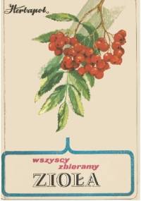 Wszyscy zbieramy zioła - Krystyna Mikołajczyk, Jadwiga Kwaśniewska