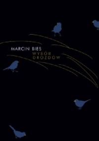 Wybór drozdów - Marcin Bies
