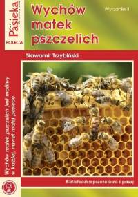 Wychów matek pszczelich - Sławomir Trzybiński