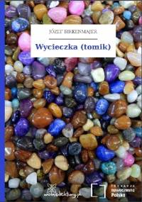 Wycieczka - Józef Birkenmajer