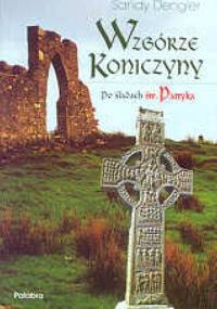 Wzgórze Koniczyny. Po śladach św. Patryka - Sandy Dengler