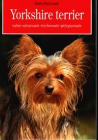 Yorkshire terrier - Biała-Gaus Karin
