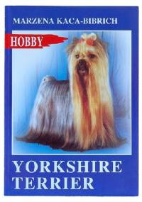 Yorkshire Terrier - Marzena Kaca-Bibrich