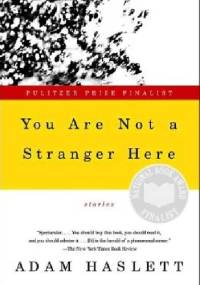 You Are Not a Stranger Here - Adam Haslett