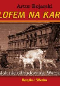 Z kilofem na kariatydę - Artur Bojarski