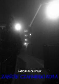 Zabicie czarnego kota - Radosław Łucarz