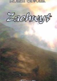 Zachwyt - Roman Śliwonik