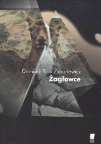 Żaglowce - Dominik Piotr Żyburtowicz