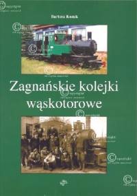 Zagnańskie kolejki wąskotorowe - Bartosz Kozak