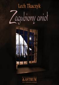 Zagubiony anioł - Lech Tkaczyk