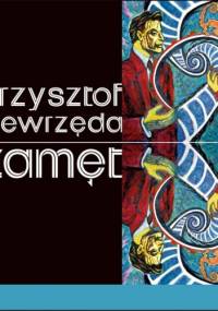 Zamęt - Krzysztof Niewrzęda