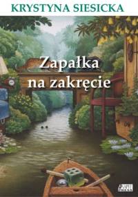 Zapałka na zakręcie - Krystyna Siesicka