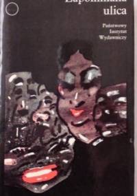 Zapomniana ulica - Louis Paul Boon