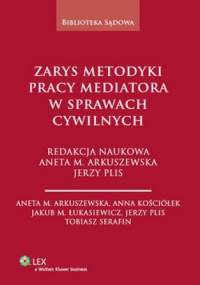 Zarys metodyki pracy mediatora w sprawach cywilnych