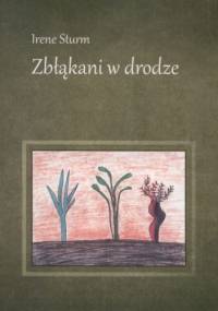 Zbłąkani w drodze - Irene Sturm