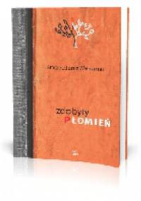 Zdobyty płomień - Starzec Jan z Wałaamu