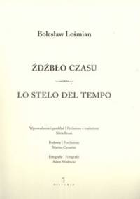 Źdźbło czasu - Bolesław Leśmian