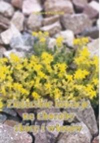 Zielarskie kuracje na choroby skóry i włosów - Zbigniew Przybylak