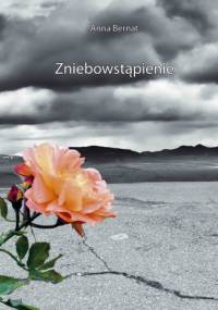 Zniebowstąpienie - Anna Bernat