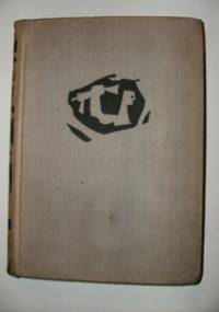 Żołnierze Starówki. Dziennik bojowy kpt. Ognistego - Lucjan Fajer