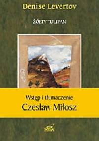 Żółty tulipan - Denise Levertov