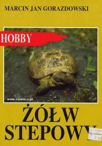 Żółw stepowy - Marcin Jan Gorazdowski