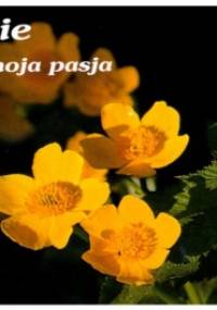 Życie - moja pasja. Perełka 11 - praca zbiorowa